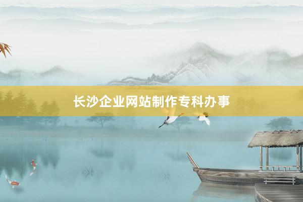 长沙企业网站制作专科办事