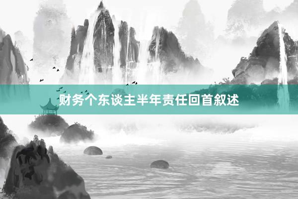 财务个东谈主半年责任回首叙述
