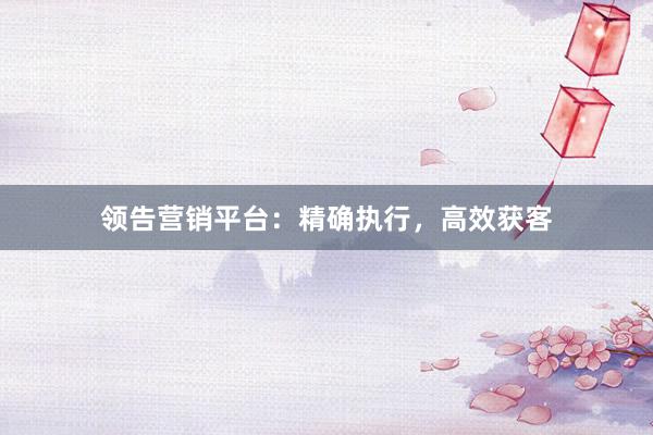 领告营销平台：精确执行，高效获客